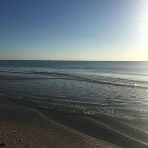 Meet your Posher, Micky